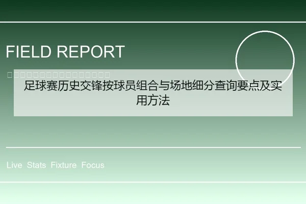 足球赛历史交锋按球员组合与场地细分查询要点及实用方法